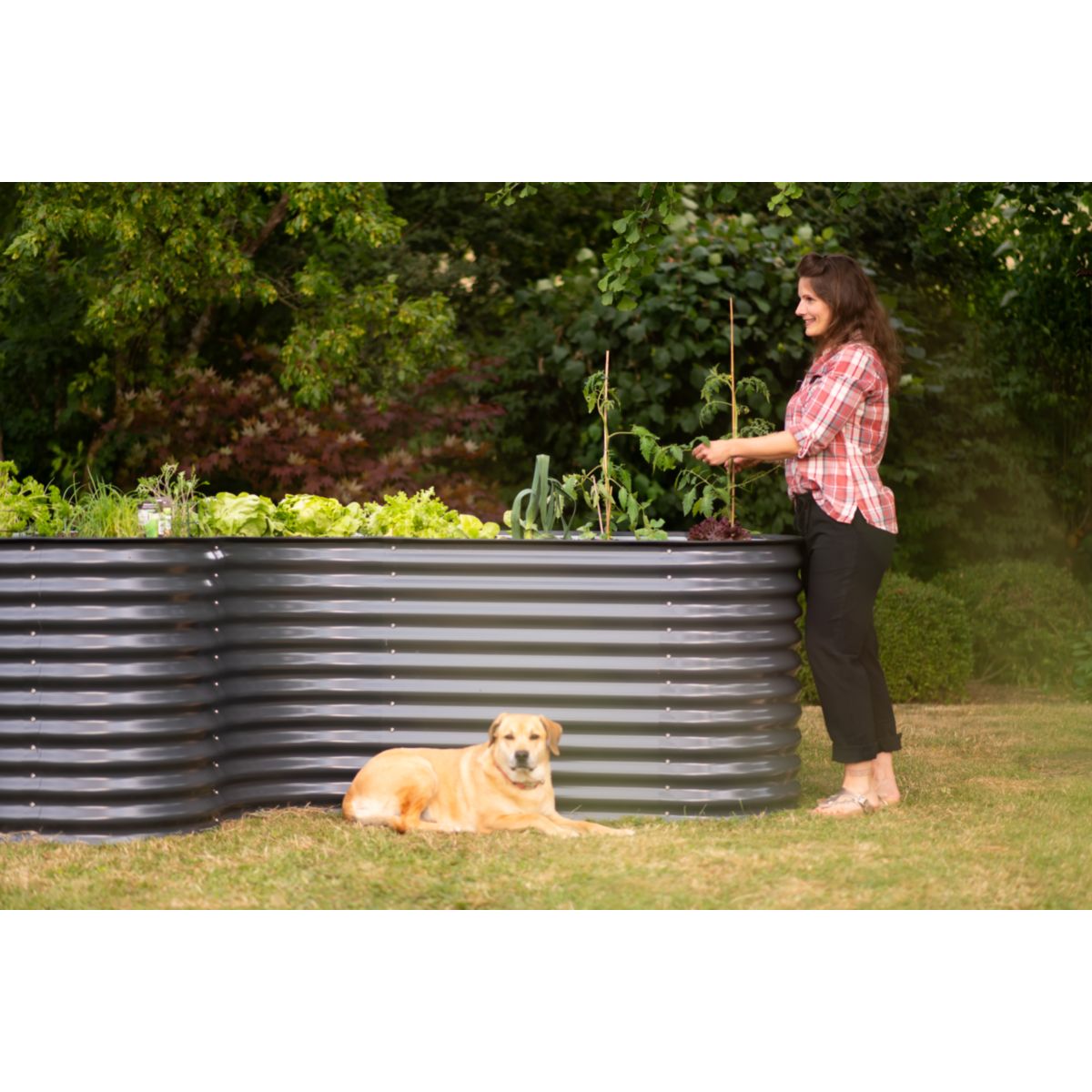 Westmann Hochbeet Grow Faster 240x160x82cm Bild 5