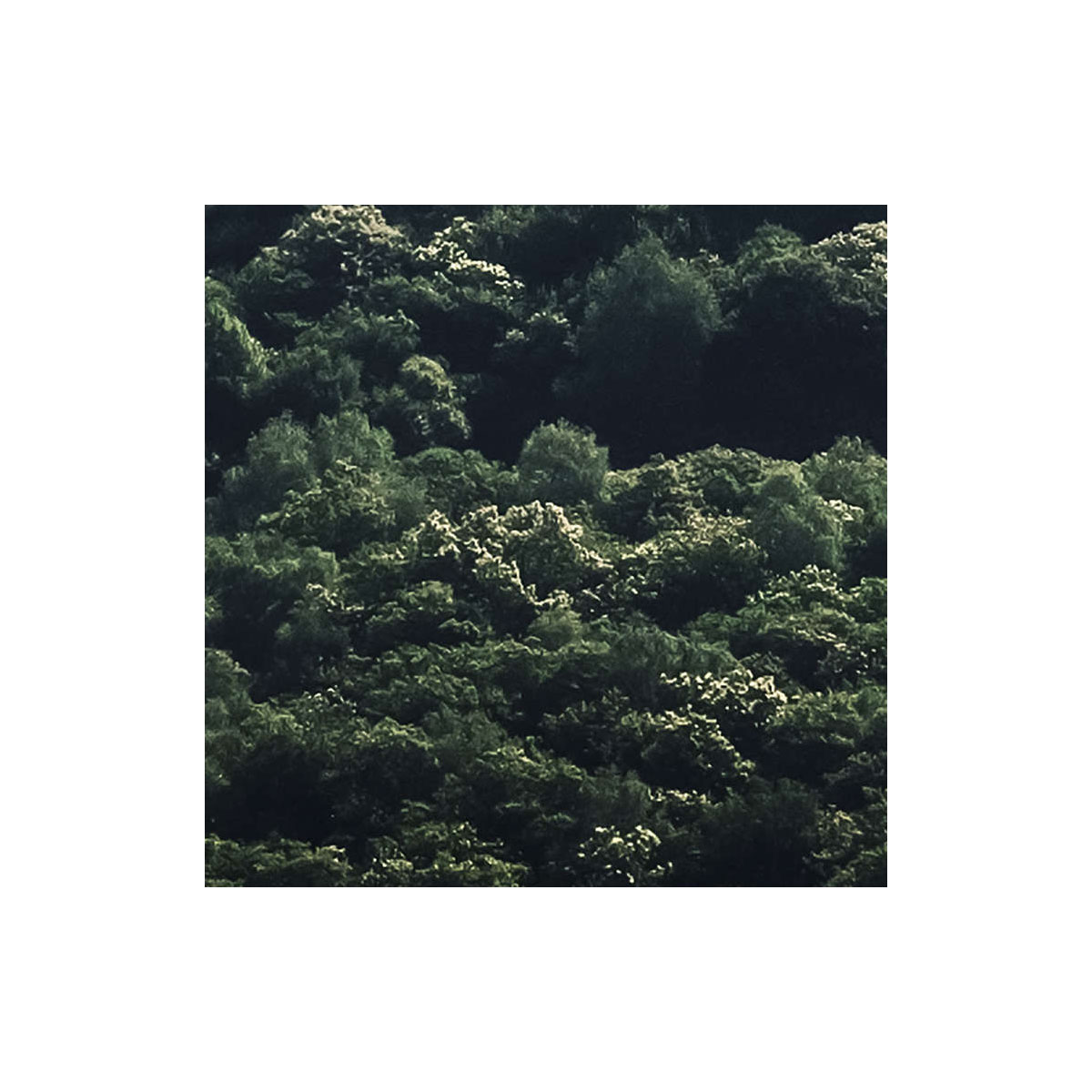 Komar  Vlies Fototapete The Summit 300x250 cm Bild 5