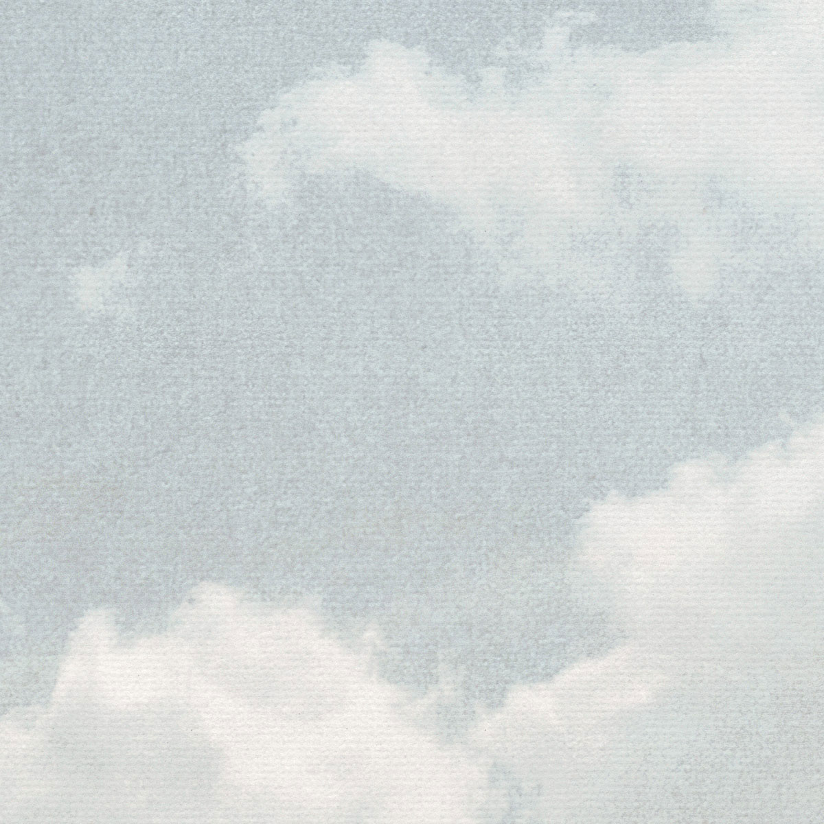 Komar  Vlies Fototapete The Exotic Land 200x280 cm Bild 6