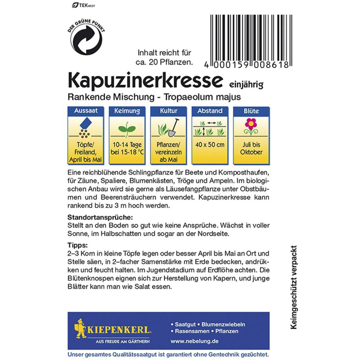 Kiepenkerl Kapuzinerkresse rankende Mischung Bild 2