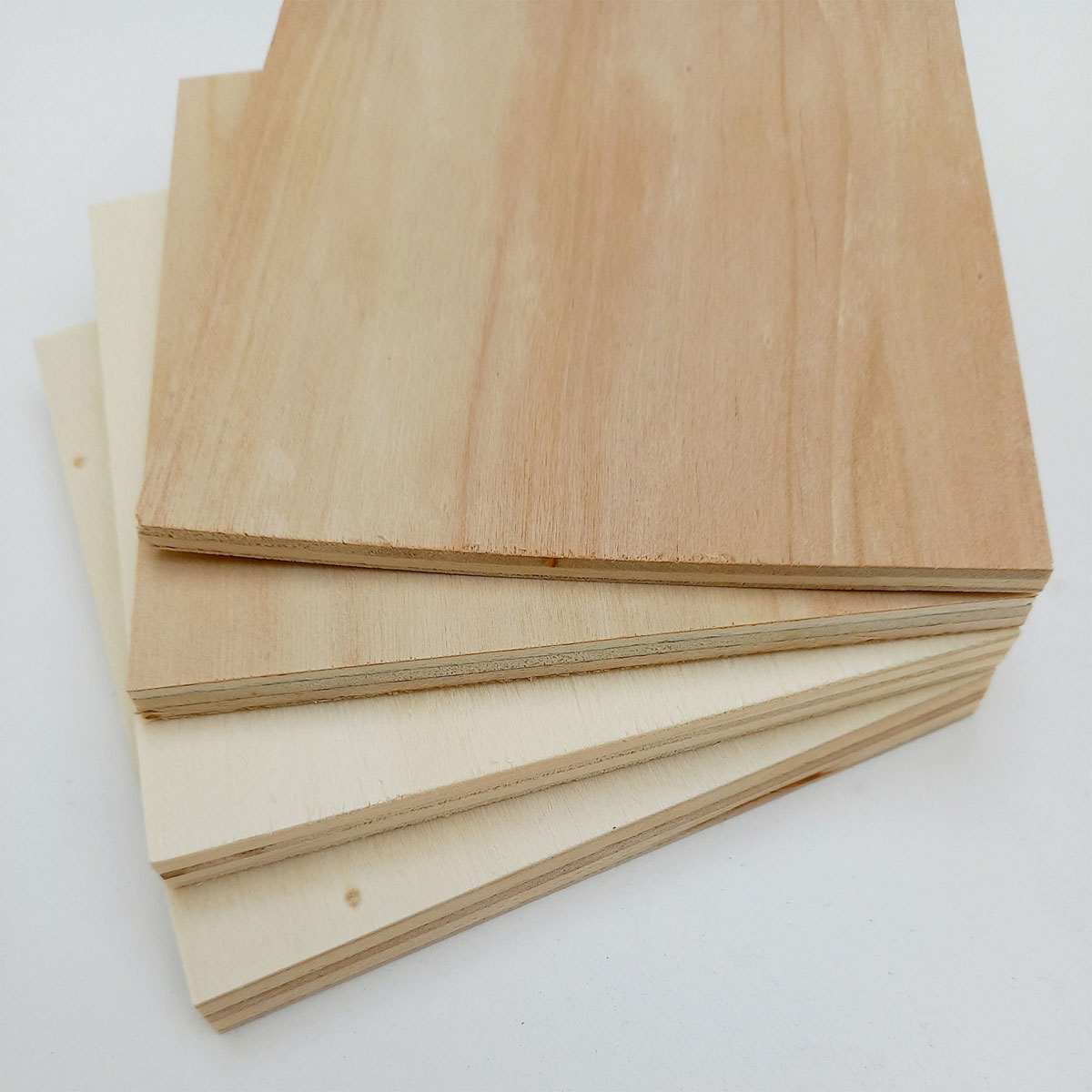 Sperrholz Pappel 2440 x 1220 x 10 mm Bild 8