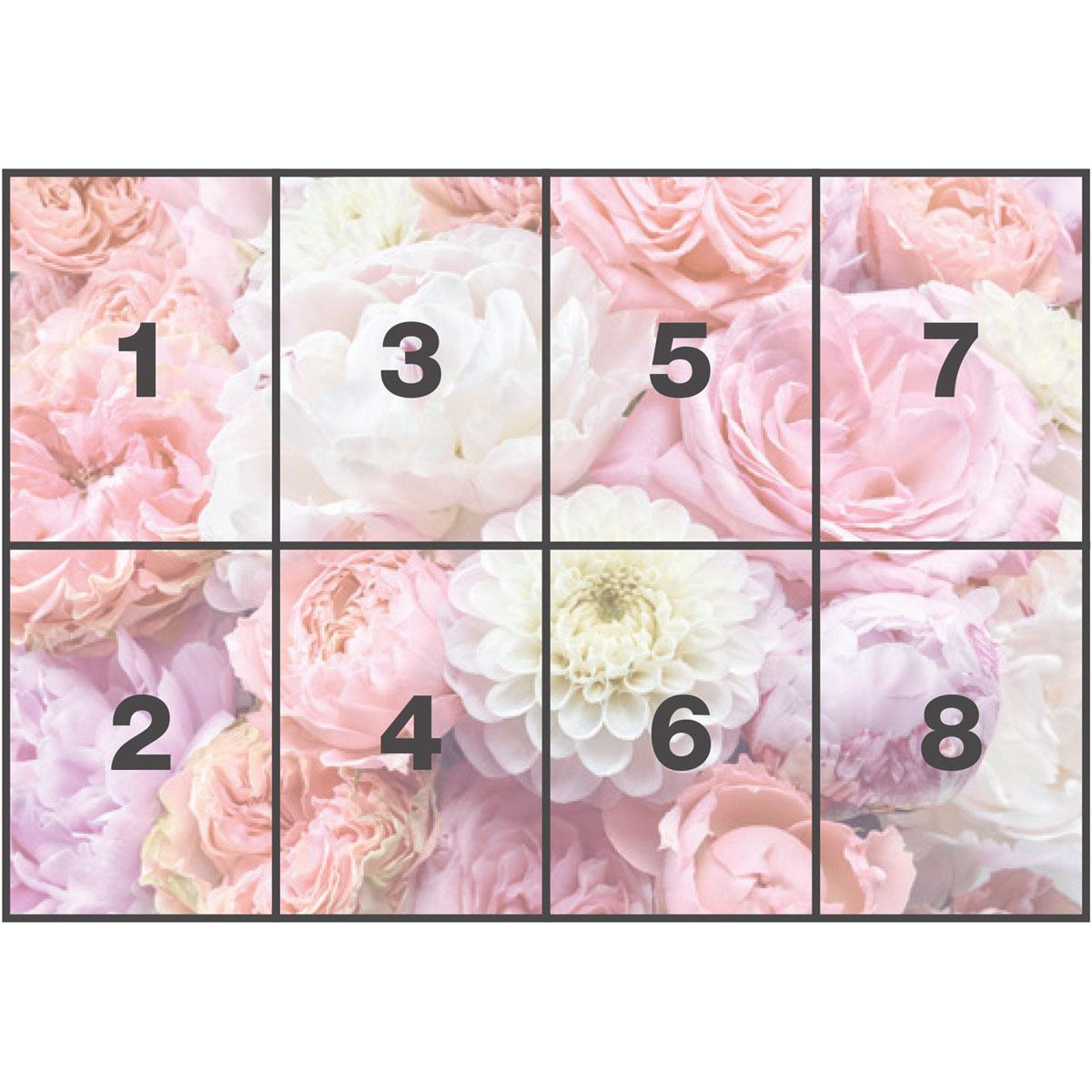 Komar  Papier Fototapete Vibrant Spring 368x254 cm Bild 3