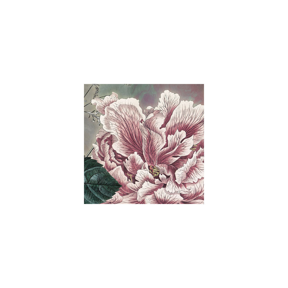 Komar  Vlies Fototapete Everlasting 350x250 cm Bild 4