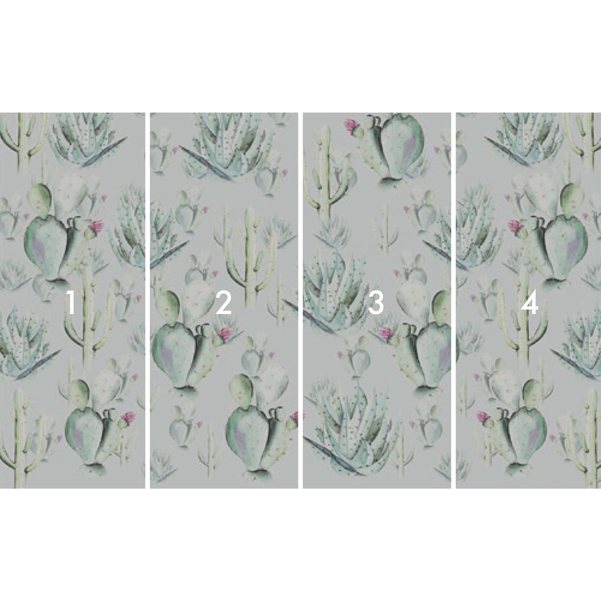 Komar  Vlies Fototapete Cactus Grey 400x250 cm Bild 3