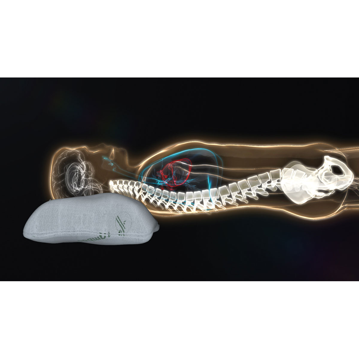 Best Direct Kopfkissen Bamboo Pillow mit Bambusfaserbezug Bild 2