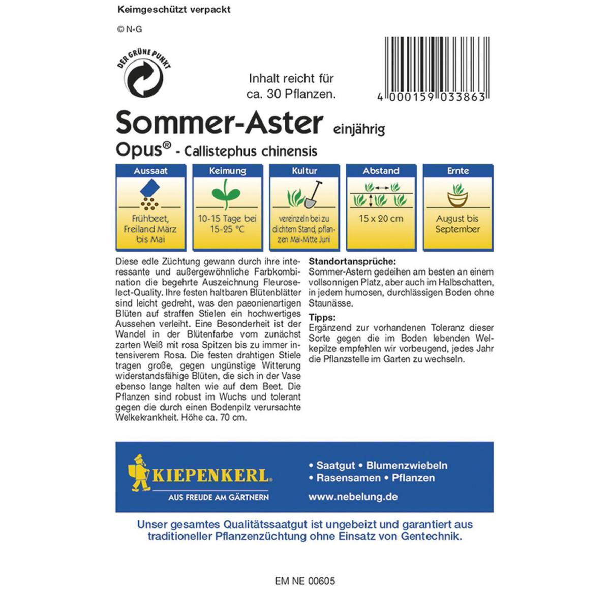 Kiepenkerl Sommeraster Opus Profi-Line Bild 2