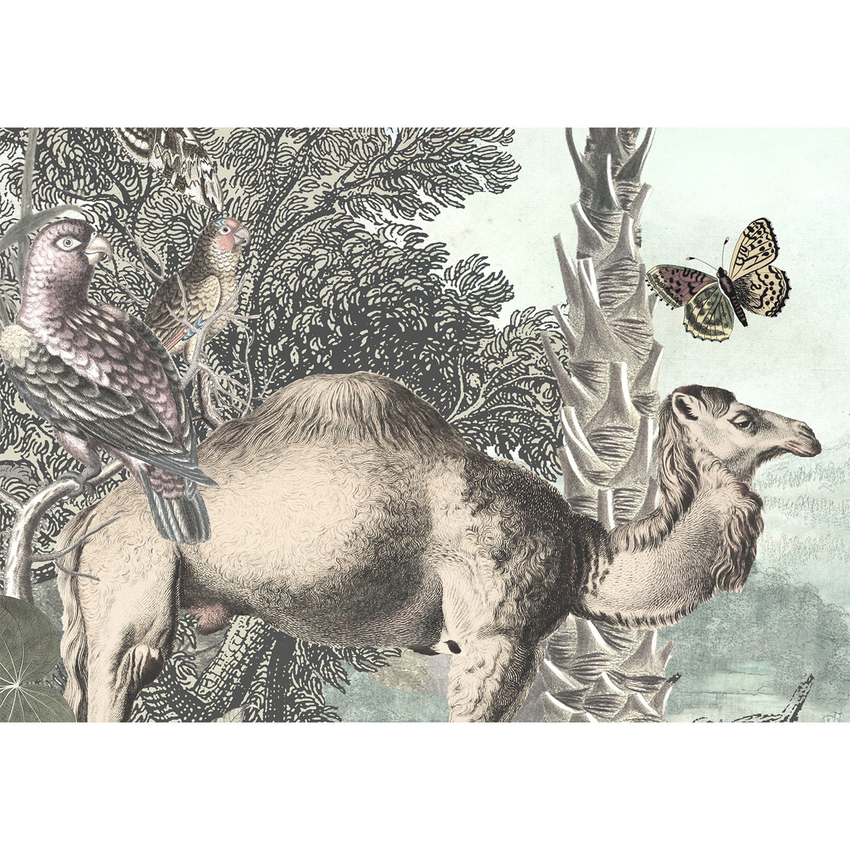 Komar  Vlies Fototapete Creation 300x280 cm Bild 4