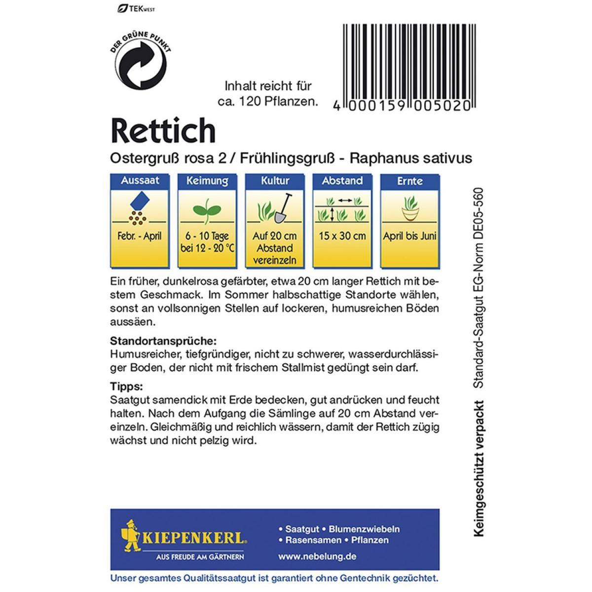 Kiepenkerl Rettich Frühlingsgruß Bild 2