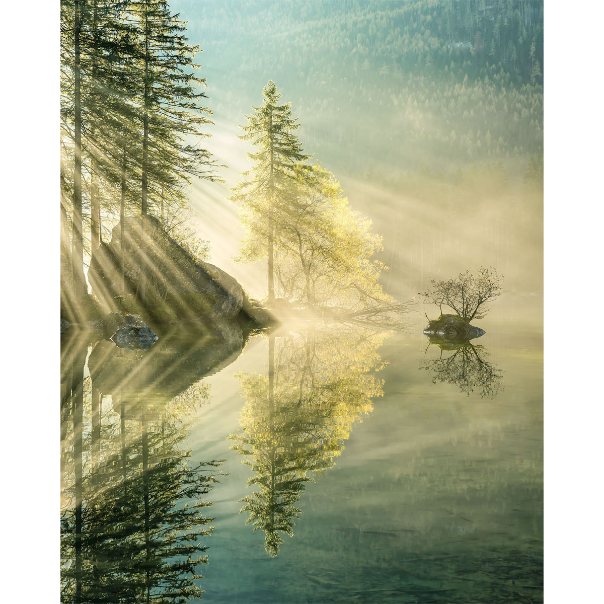 Komar  Vlies Fototapete Indulgence of Beauty 200x250 cm Bild 2