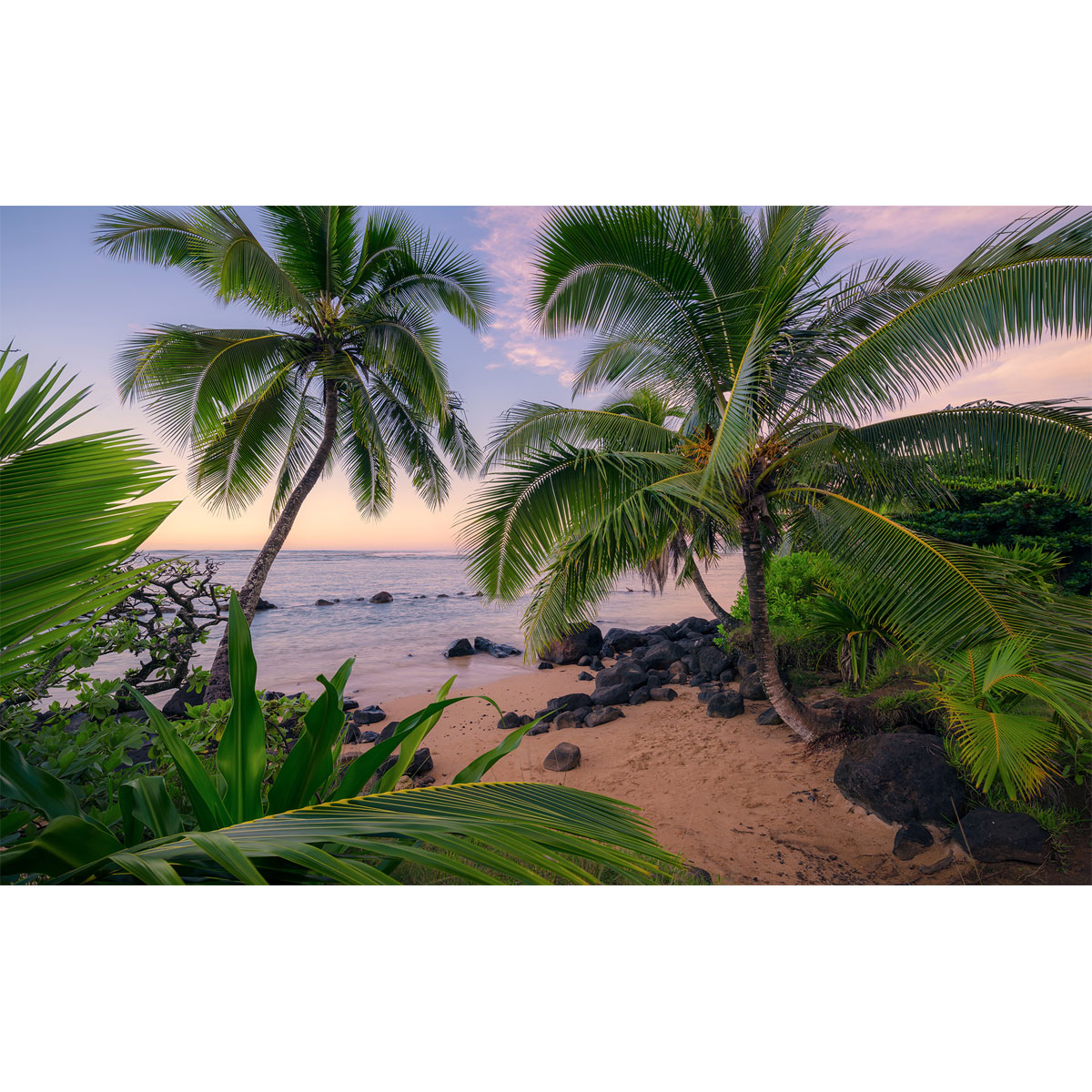 Komar  Vlies Fototapete Hawaiian Dreams 450x280 cm Bild 2