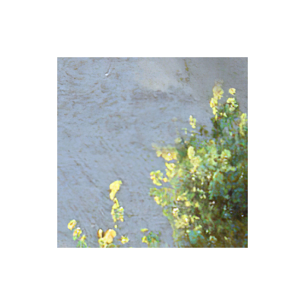 Komar  Selbstklebende Vlies Fototapete rund Simply Sky Durchmesser 125 cm Bild 4