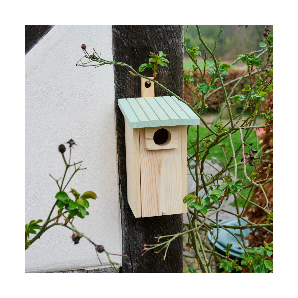 Siena Garden Nistkasten Emilias Nestperle 45 mm Bild 7