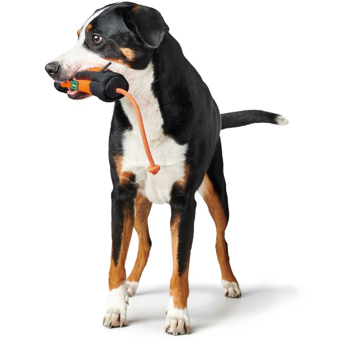 Hunter Trainer Snack-Dummy mit Seil orange-schwarz 34 cm Bild 2
