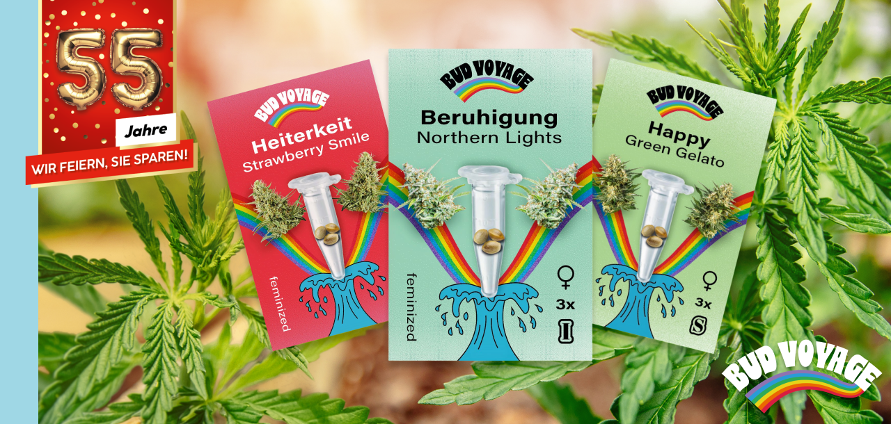 Bud Voyage: Hanfsamen