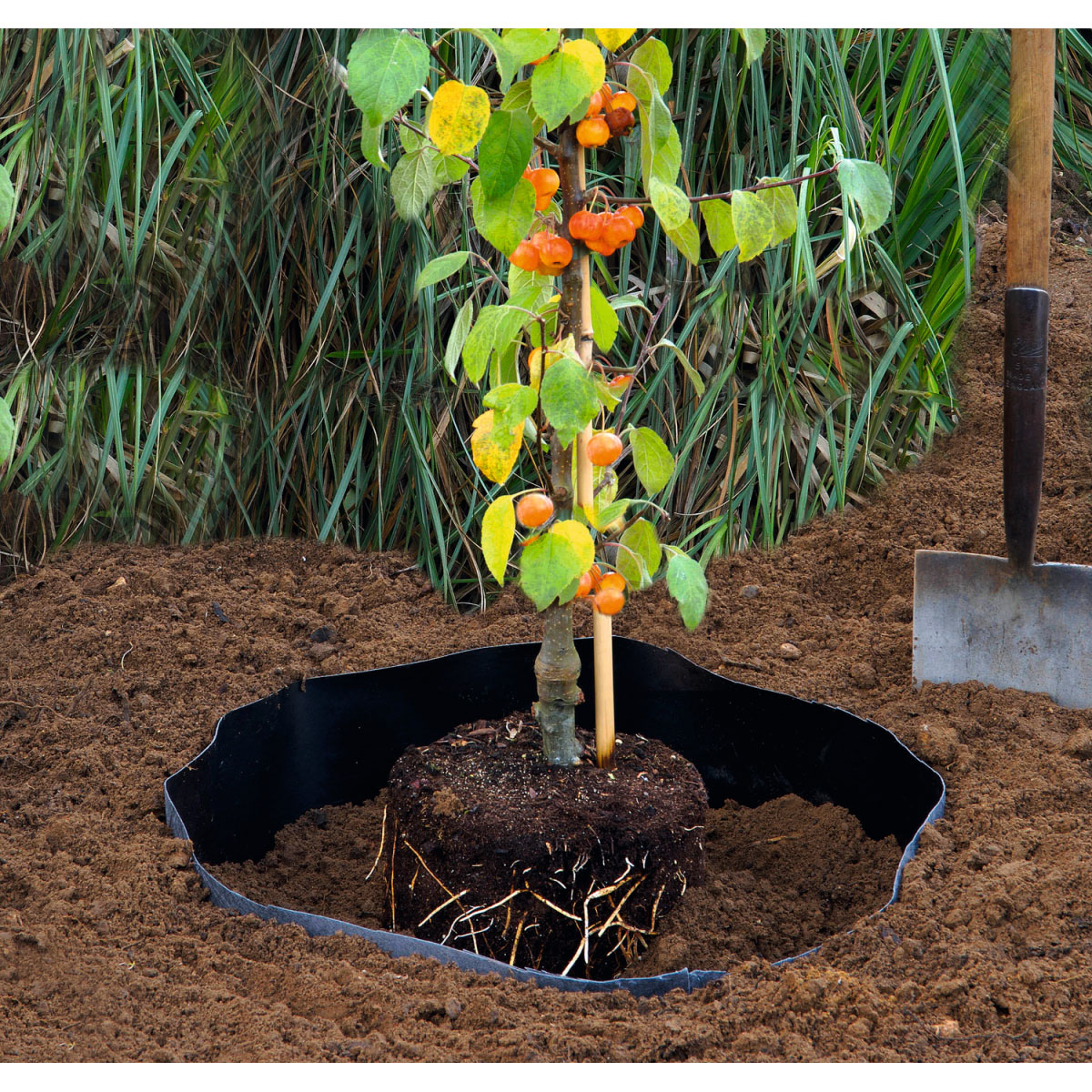 Siena Garden Premium Wurzelsperre 0,66 x 3,5 m schwarz Rolle Bild 2