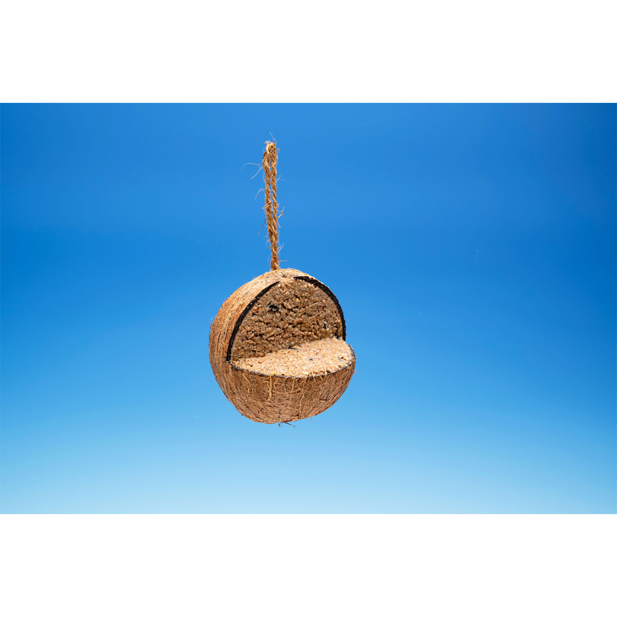 3/4 Kokosnuss Bild 2