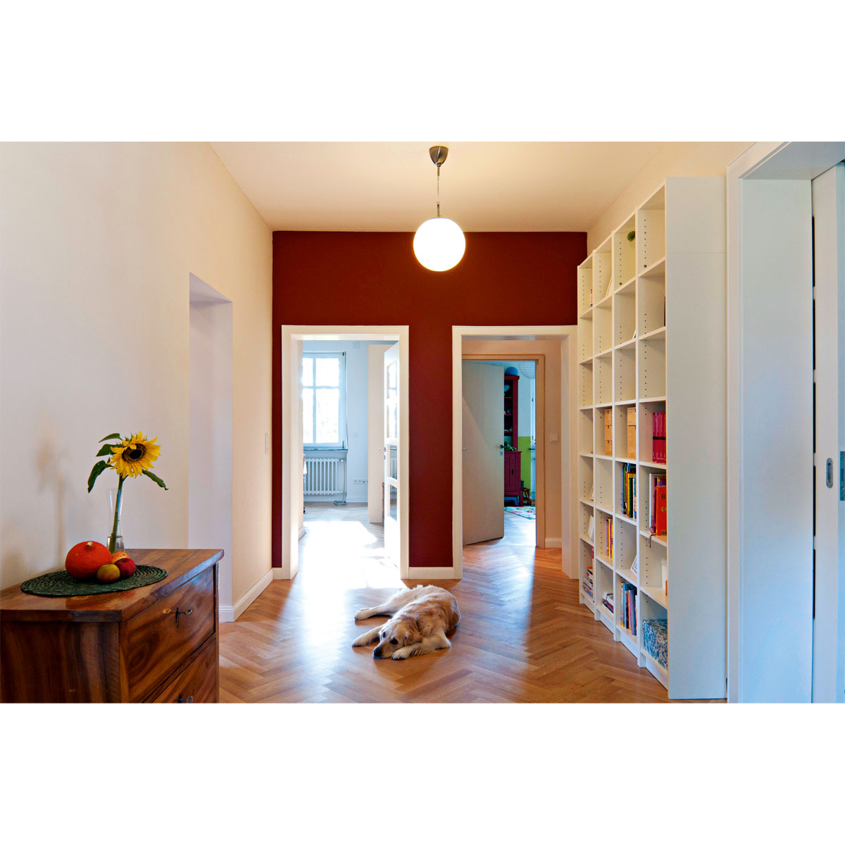 Knauf Haftputzgips Rotband 30 kg Bild 2