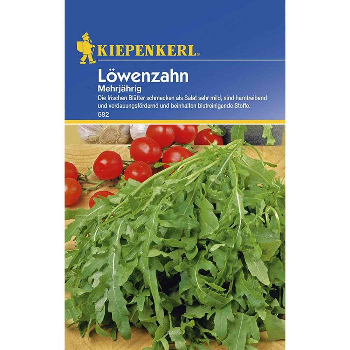 Kiepenkerl Löwenzahn mehrjährig Bild 1