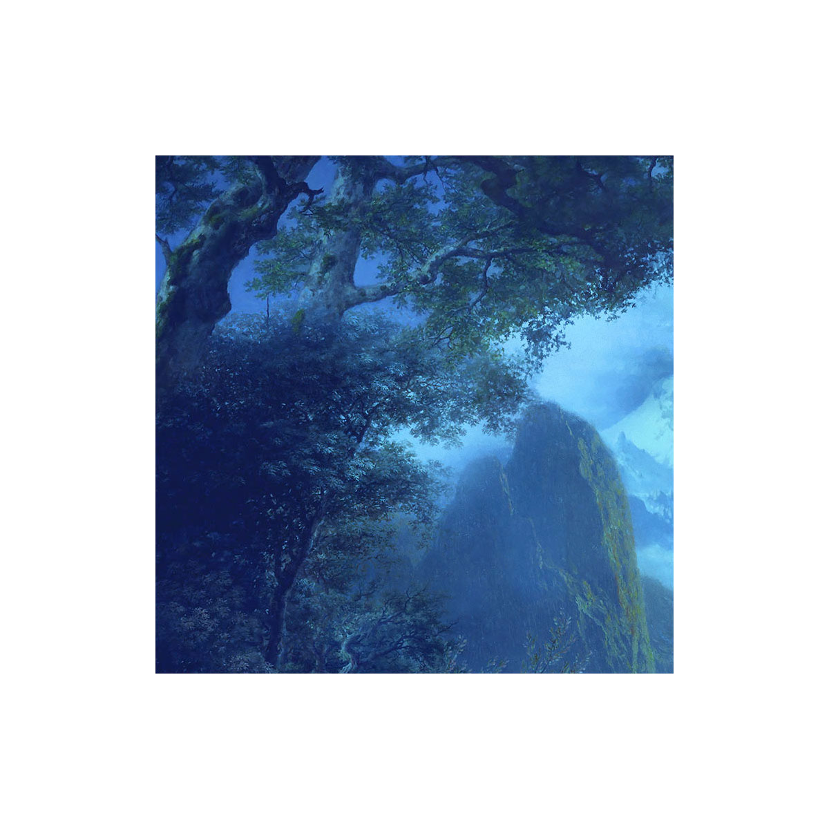 Komar  Vlies Fototapete Midnight 400x280 cm Bild 7