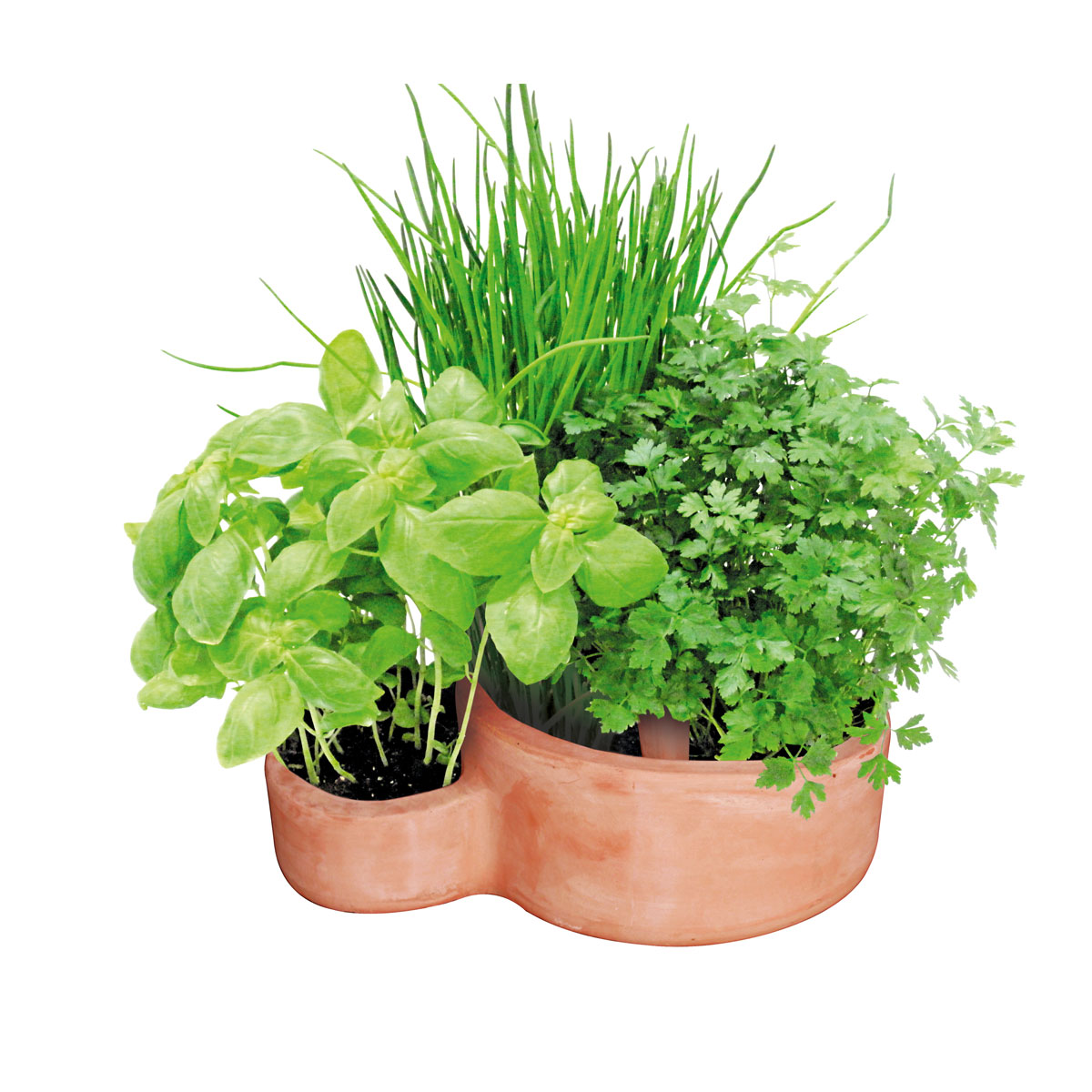 Haveson Kräuterspirale Mediterrano 40 x 25 x 20 cm Bild 2