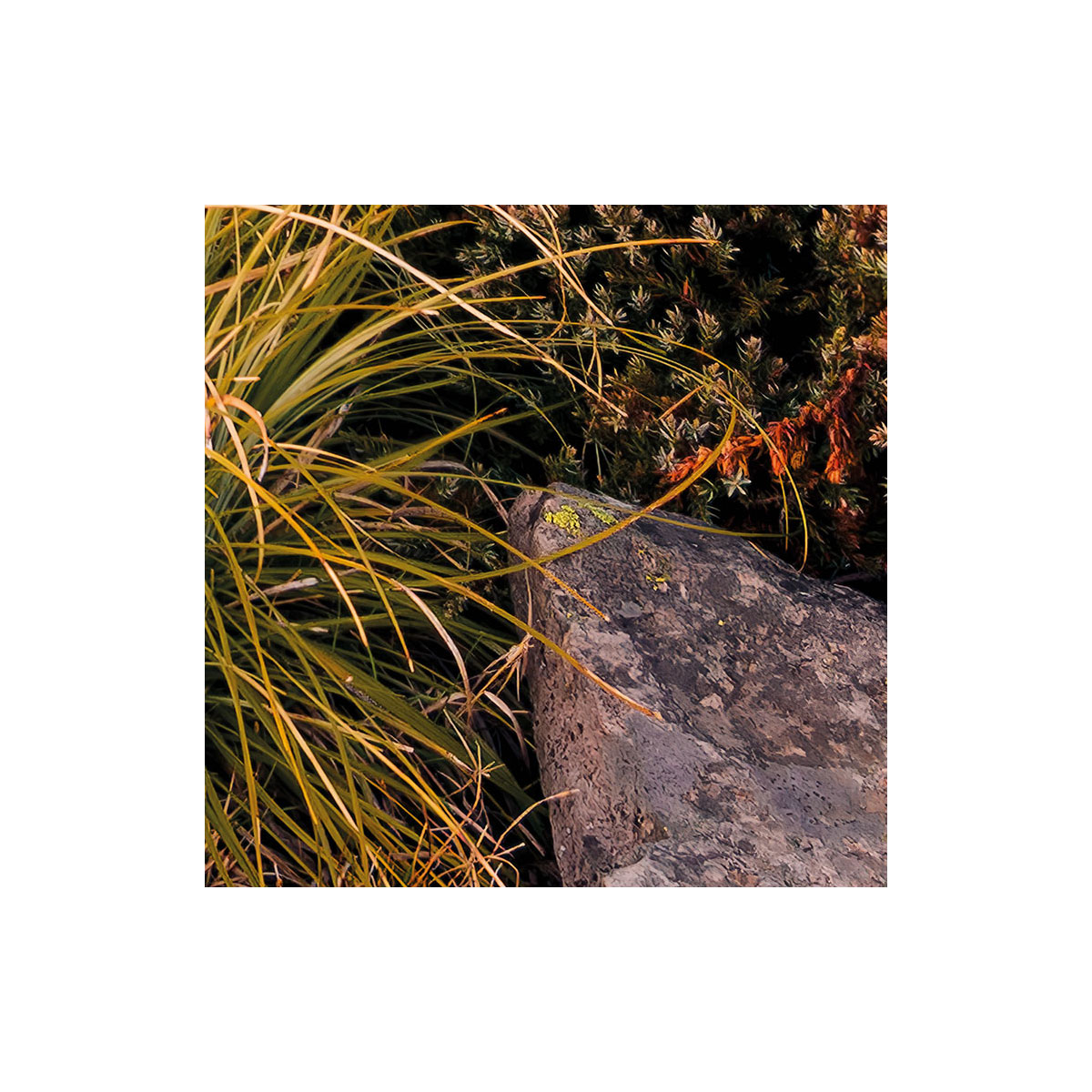 Komar  Vlies Fototapete Kingdom of a Mountain 450x280 cm Bild 6