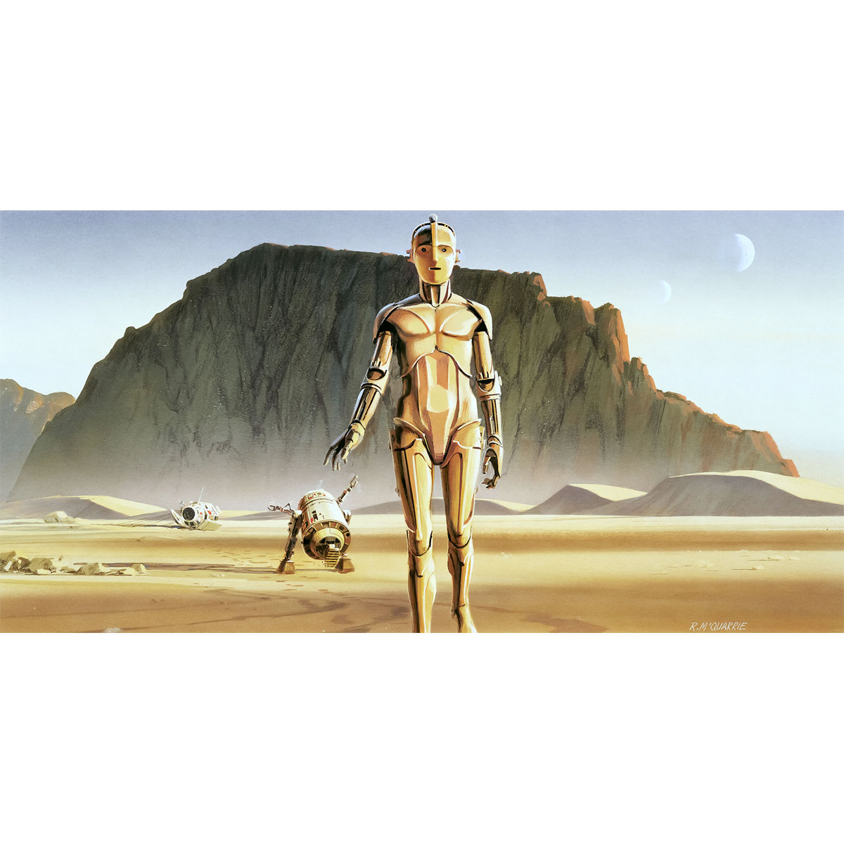 Komar  Vlies Fototapete Star Wars Classic Droids 500x250 cm Bild 2