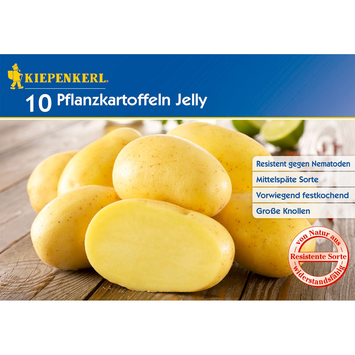 Kiepenkerl Pflanzkartoffel Jelly mittellspät-sehr spät 10 Stück Bild 1