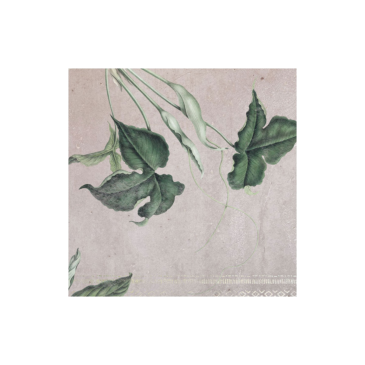 Komar  Vlies Fototapete Tropic Concrete 400x280 cm Bild 4