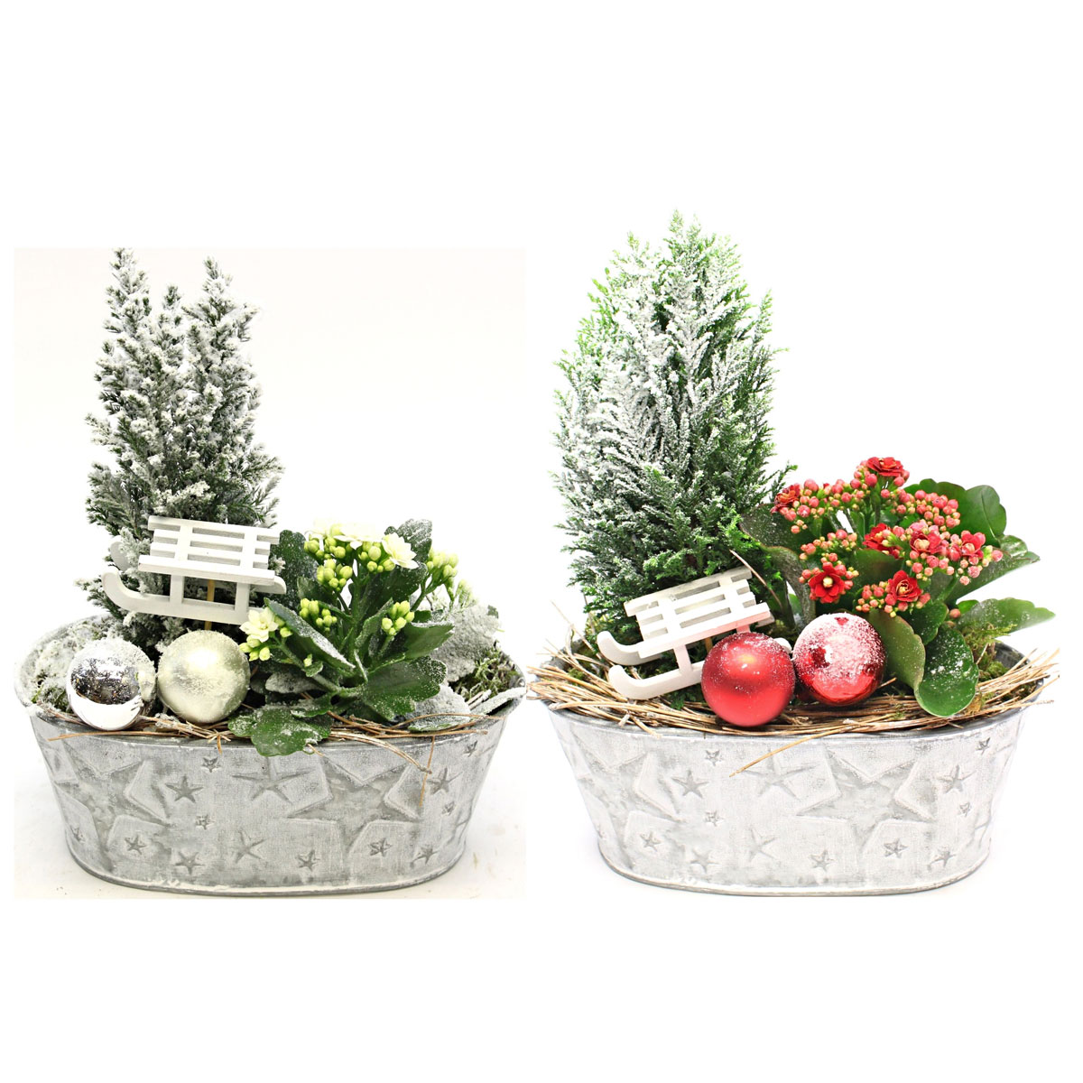 Plantiflor  Bepflanzte Schale 24 x 11 cm