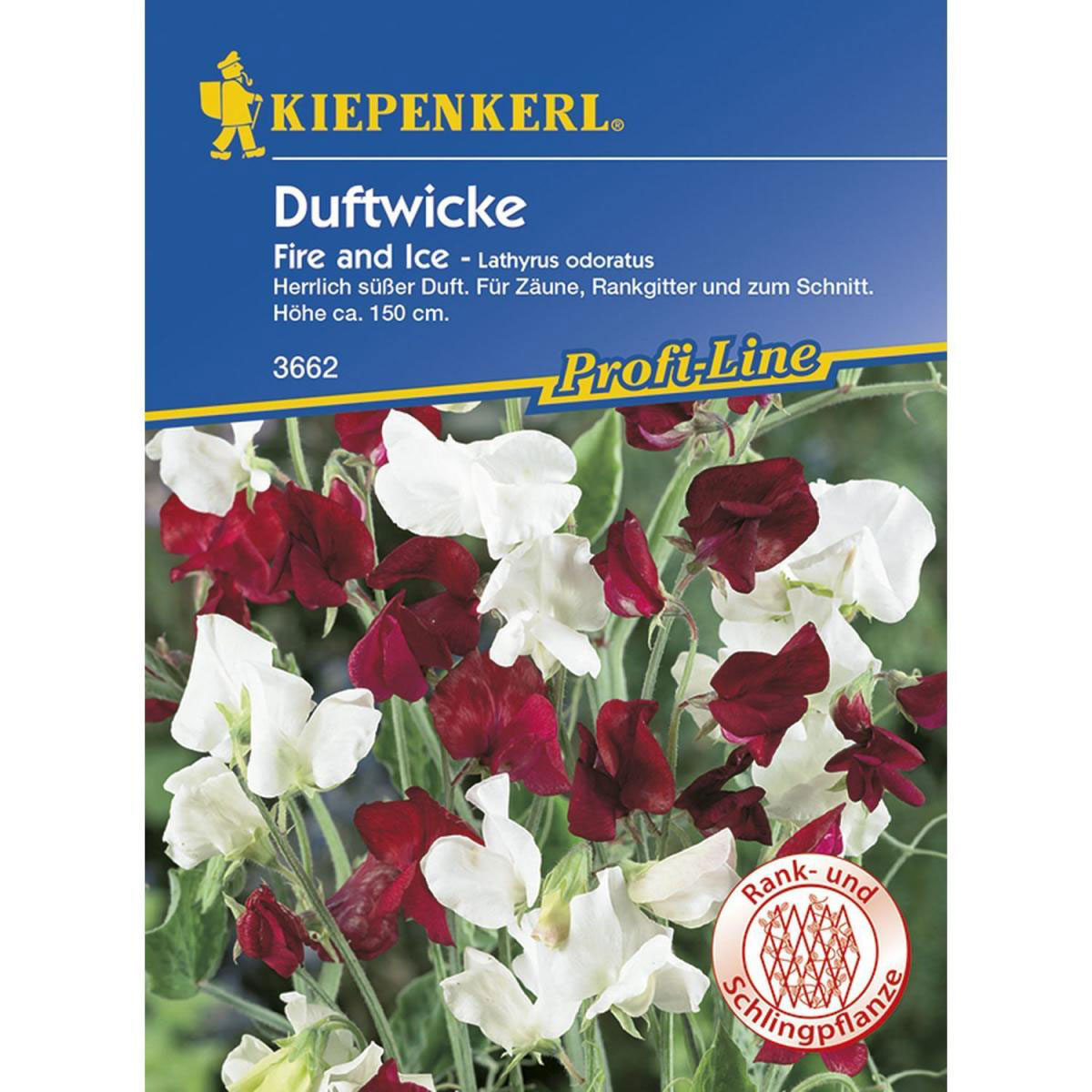 Kiepenkerl Edelwicken Fire und Ice Profi-Line