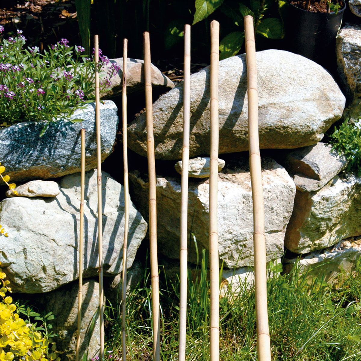 Bambusstab 210 cm