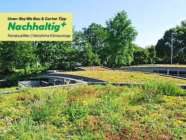 Dachbegruenung_bgm