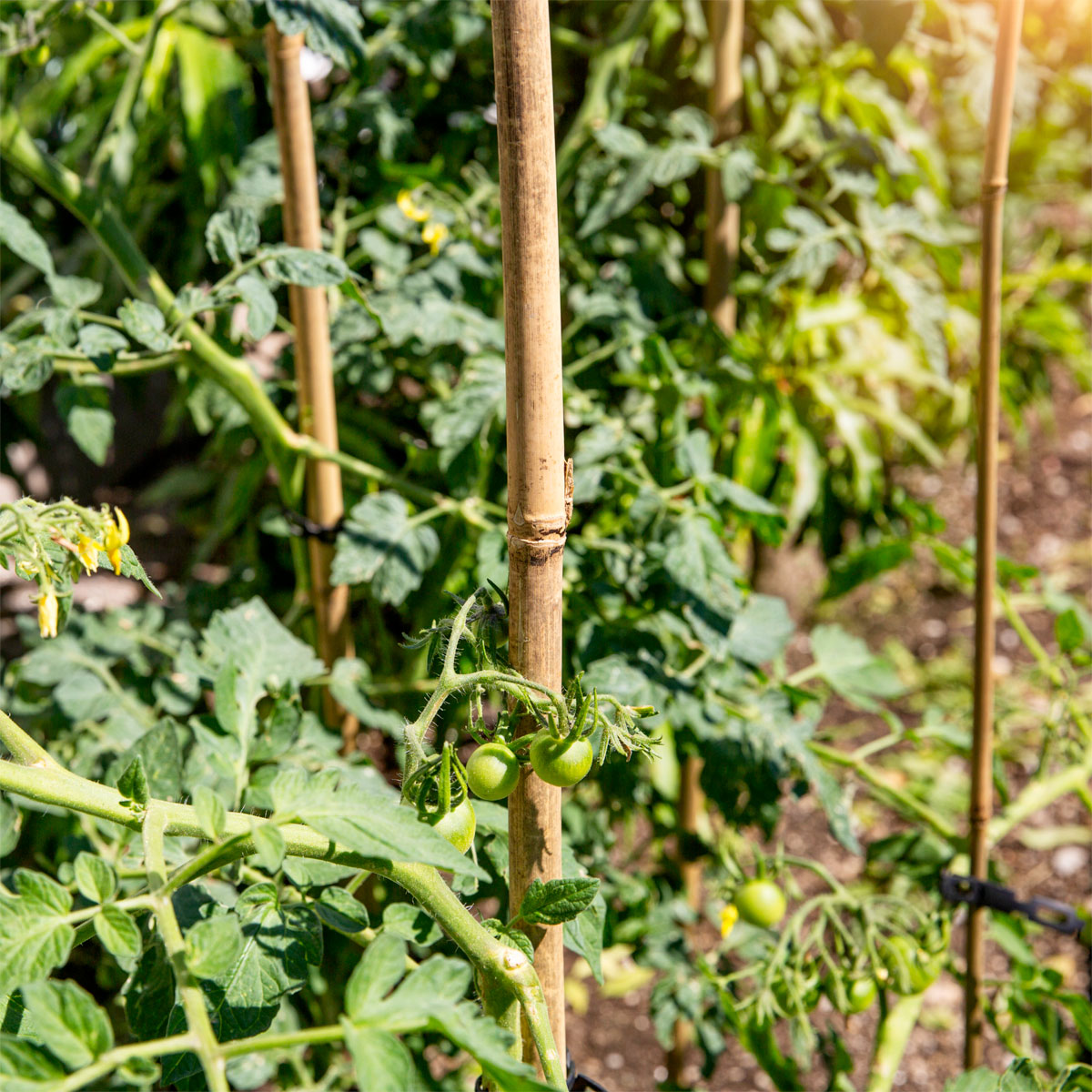 Windhager  Tonkinstäbe 150 cm