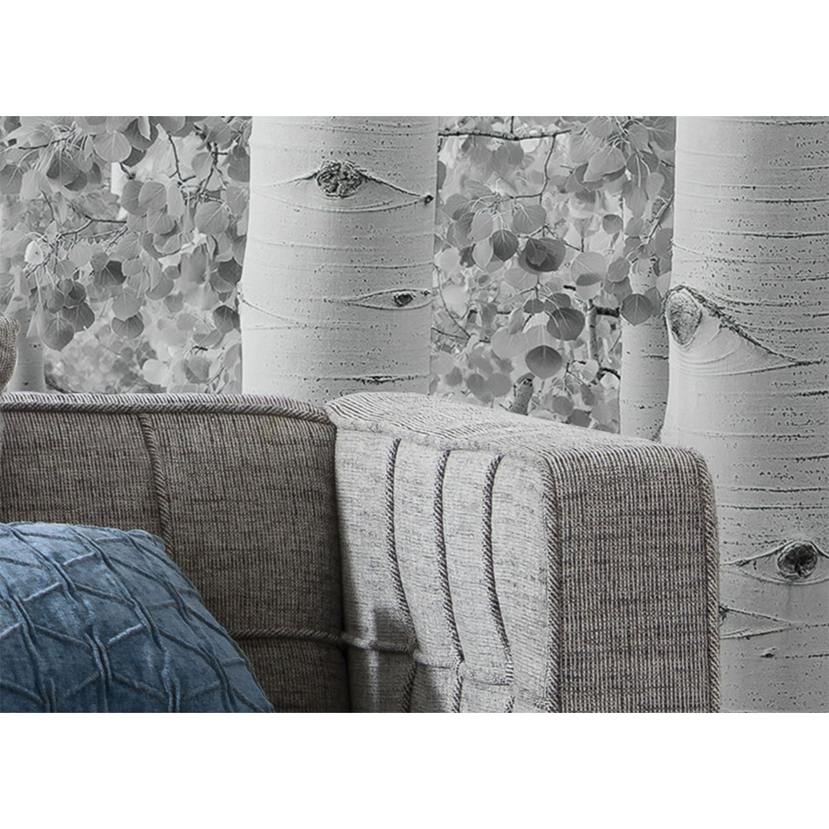 Komar  Vlies Fototapete Espenwald 450x280 cm Bild 3