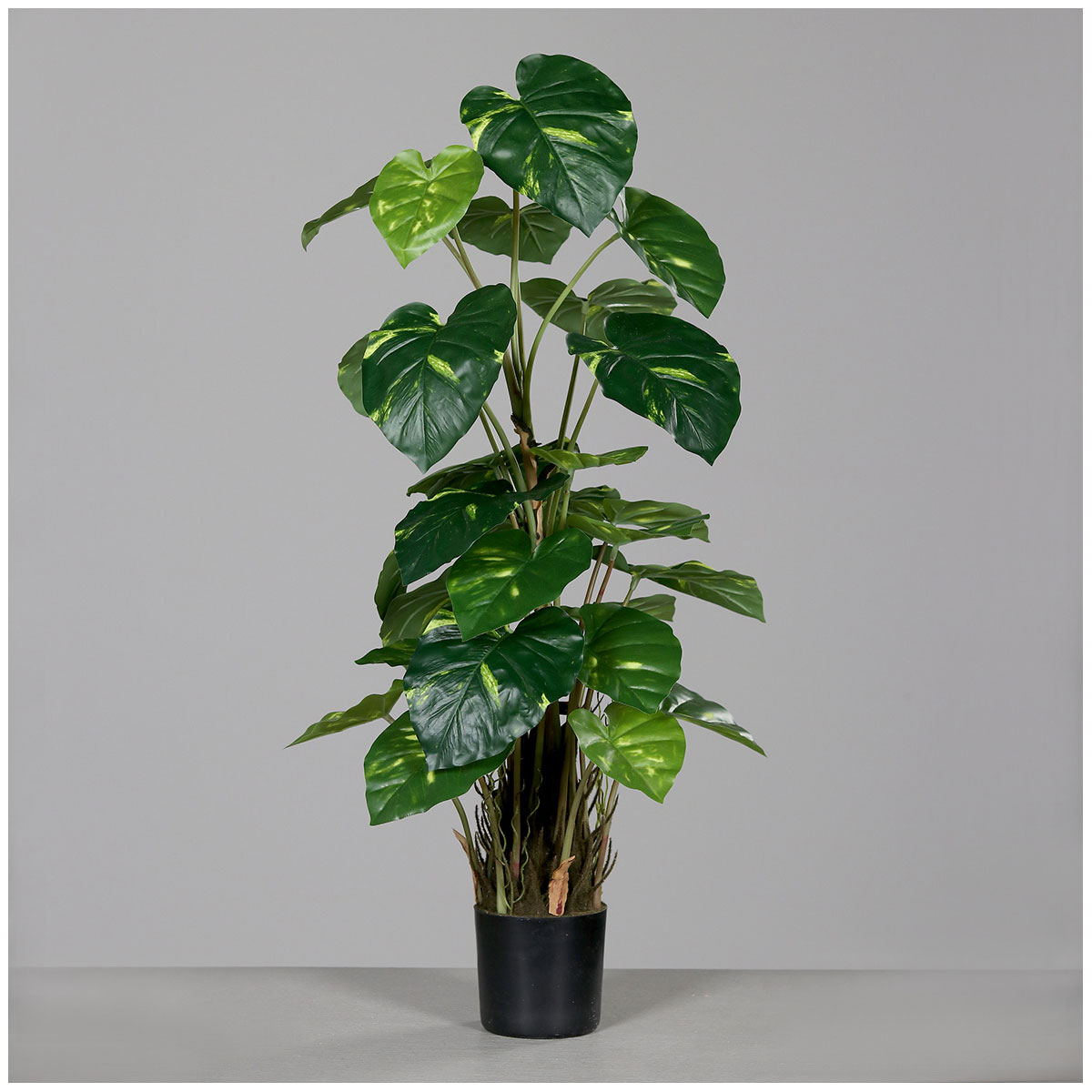 Efeu Tute schwarzer Kunstofftopf 82 cm