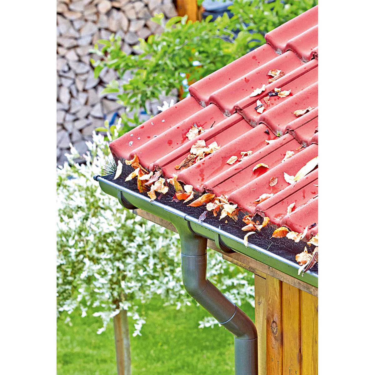 Rinnenraupe 1,2 m Durchmesser 12 cm Bild 2