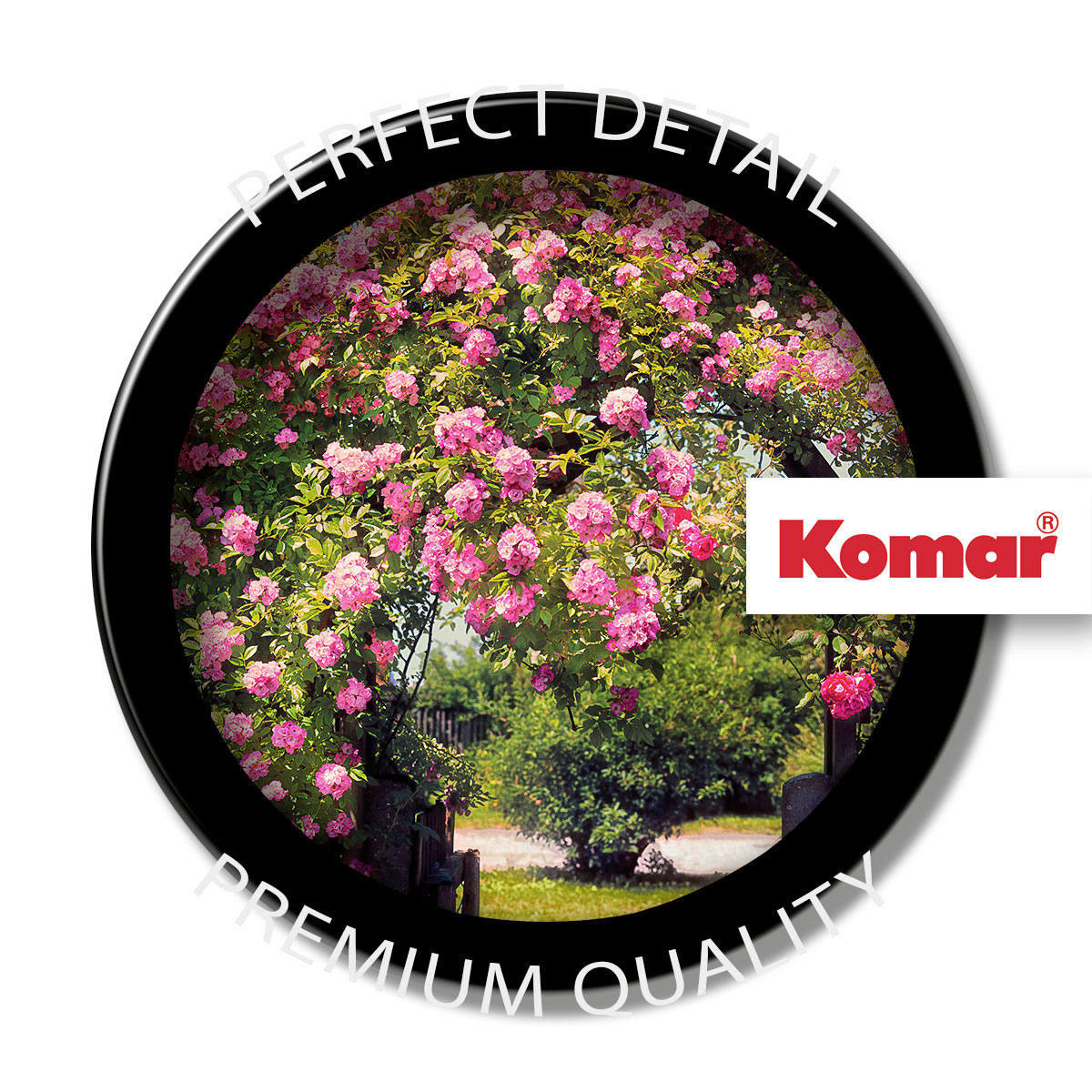 Komar  Papier Fototapete Rose Garden 368x254 cm Bild 5