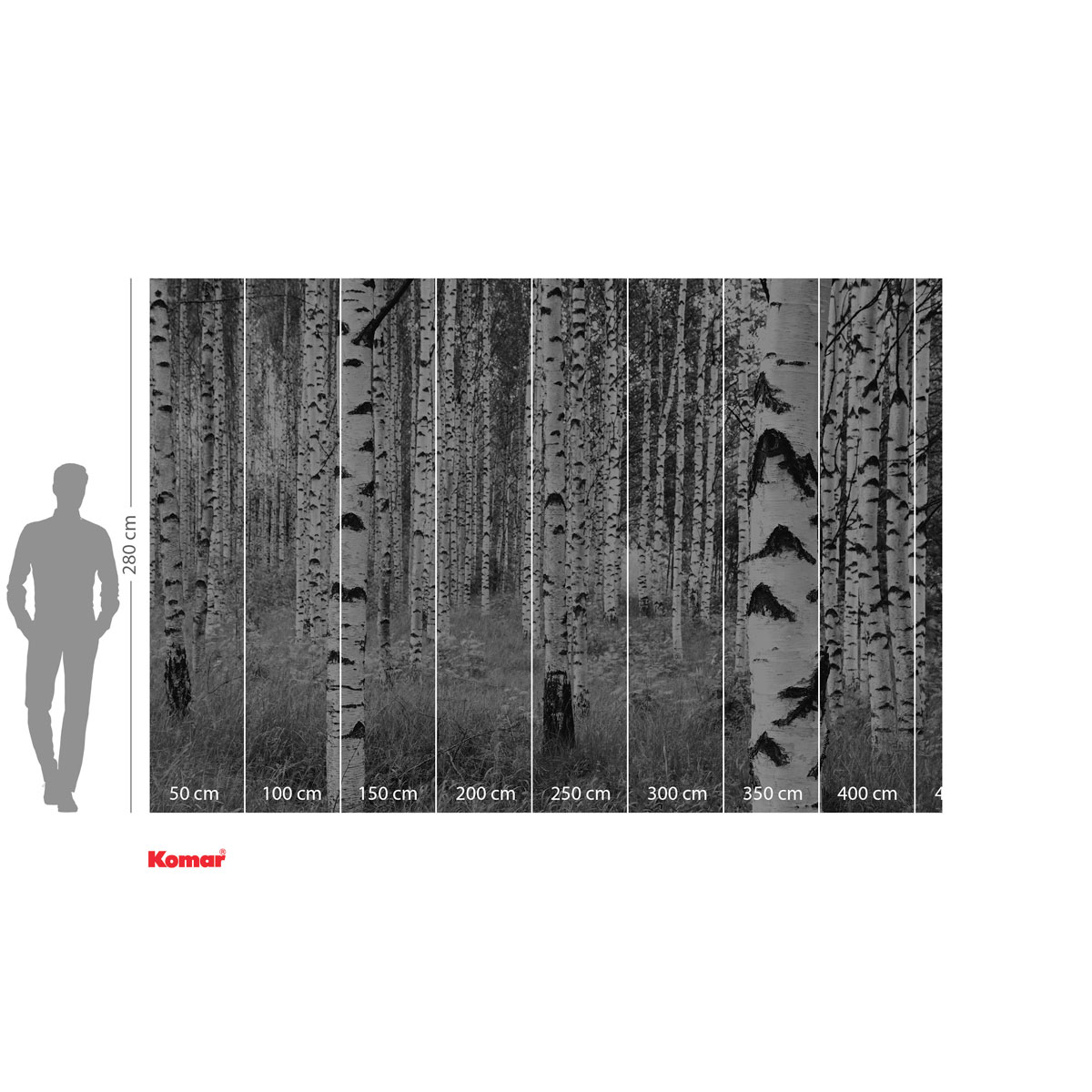 Komar  Vlies Fototapete Woods 400x270 cm Bild 3