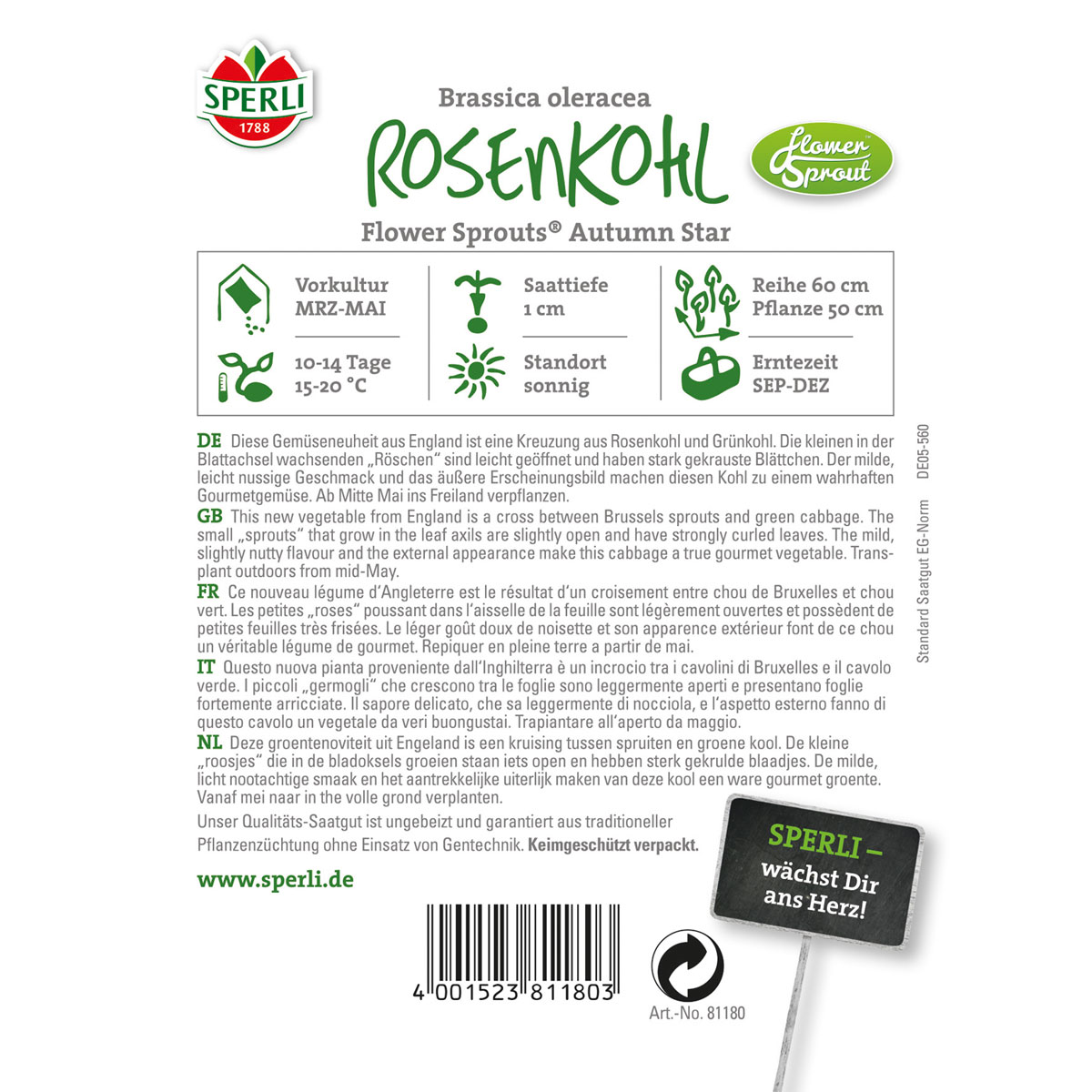 Sperli Rosenkohl Flower Sprout Bild 2