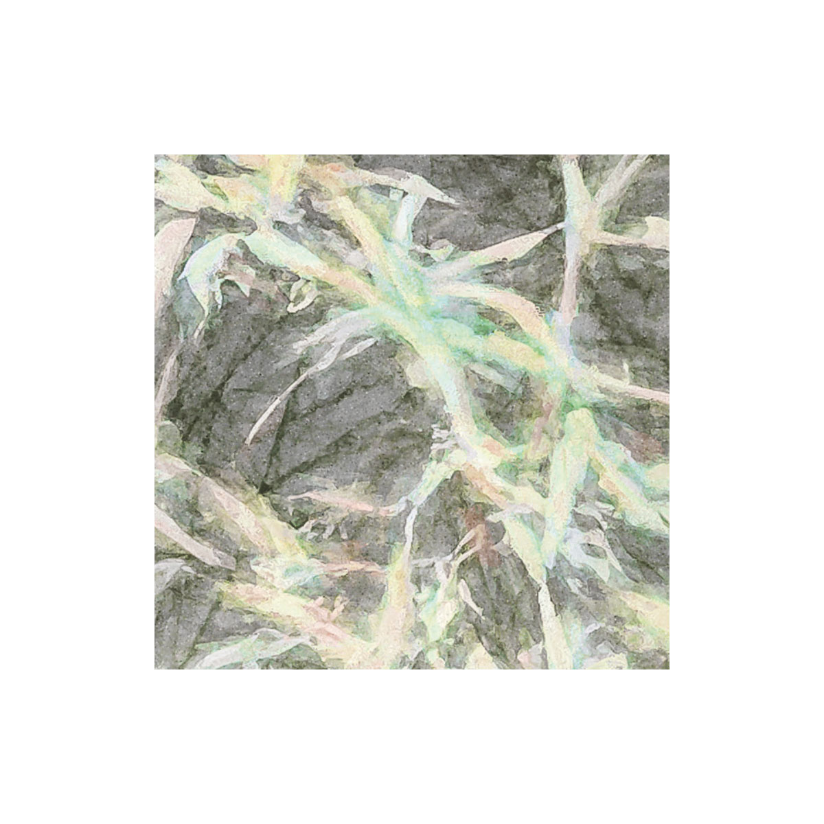 Komar  Vlies Fototapete Côte d’Azur 200x250 cm Bild 7