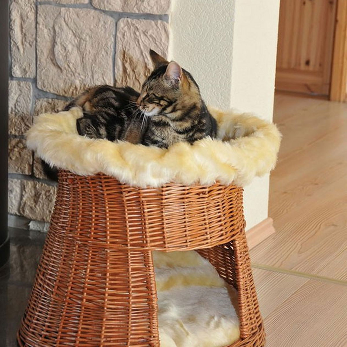 Silvio design Korbturm mit Cataria