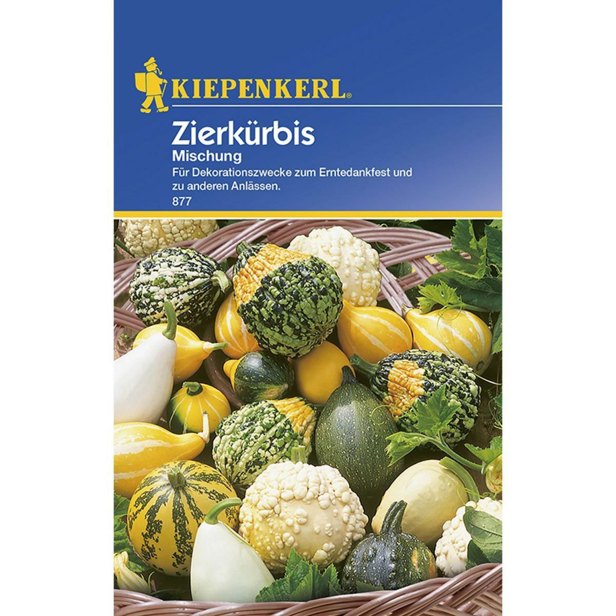 Kiepenkerl Zierkürbis Mischung