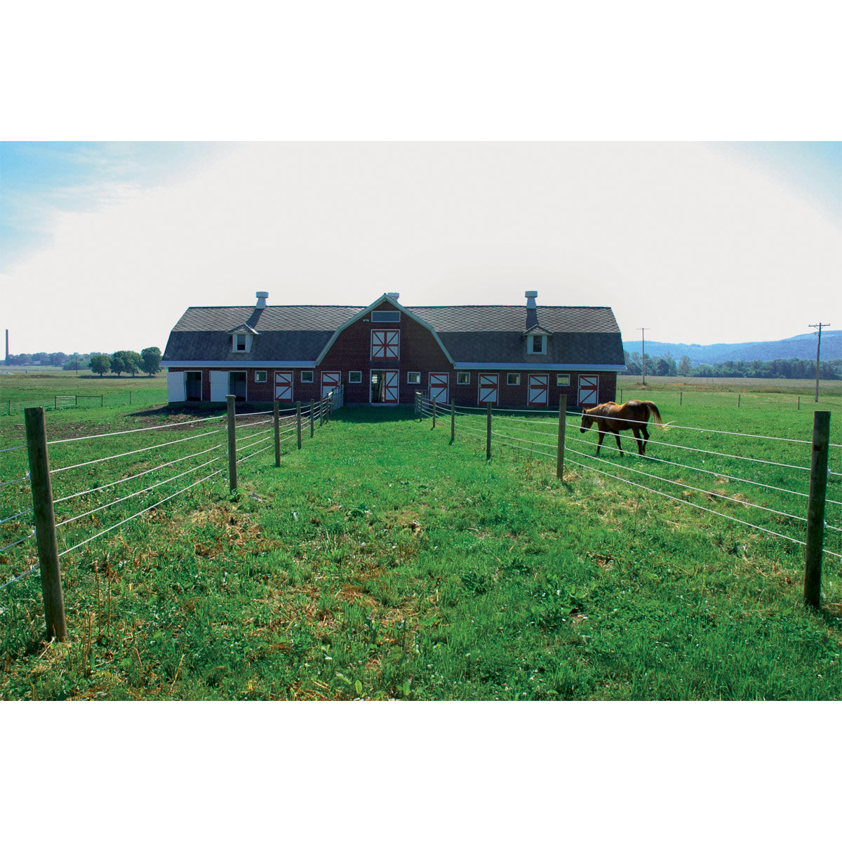 Stahldraht Premium Horse Wire 250 m Bild 10