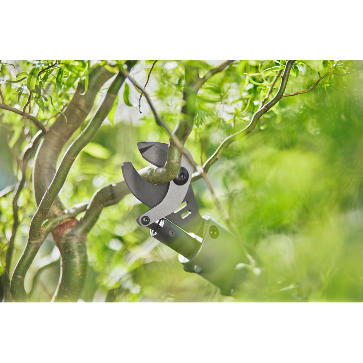Gardena  Akku-Baumschere EasyCut 110/18V P4A solo Bild 2