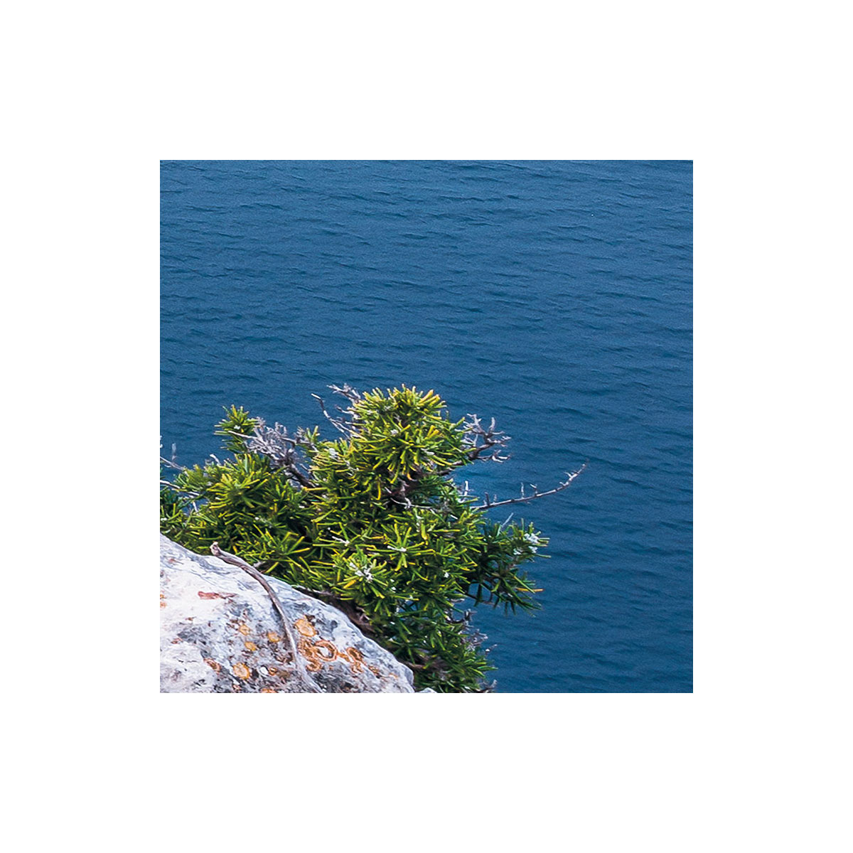 Komar  Vlies Fototapete Bizarre Coast 200x250 cm Bild 7