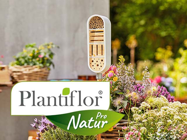 HELLWEG-Plantoflor_Bienen