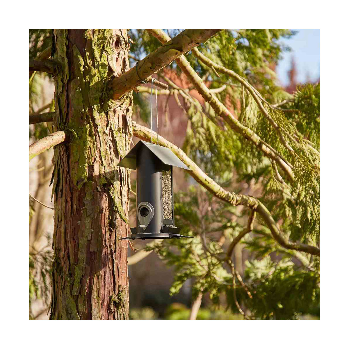 Siena Garden Vogelfutterhaus Black Line für Mischfutter 24,5 cm Bild 5