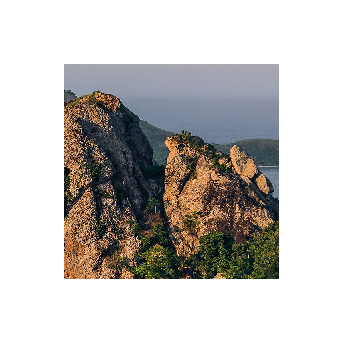 Komar  Vlies Fototapete Monkey Island 350x200 cm Bild 4