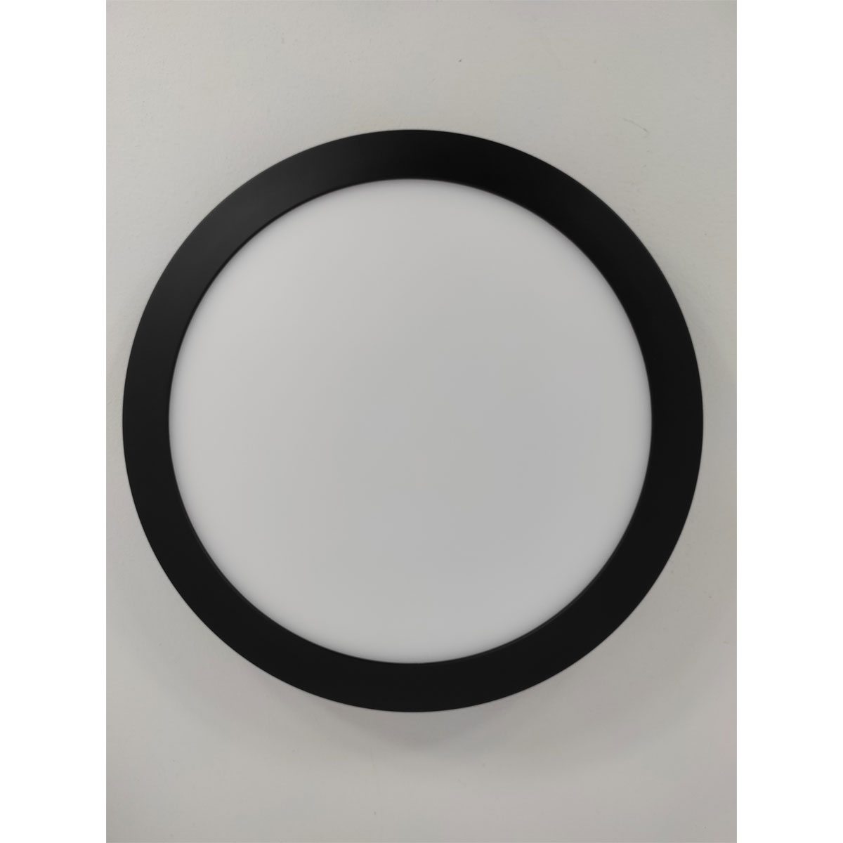 Paulmann LED-Panel Abia Durchmesser 30 cm schwarz