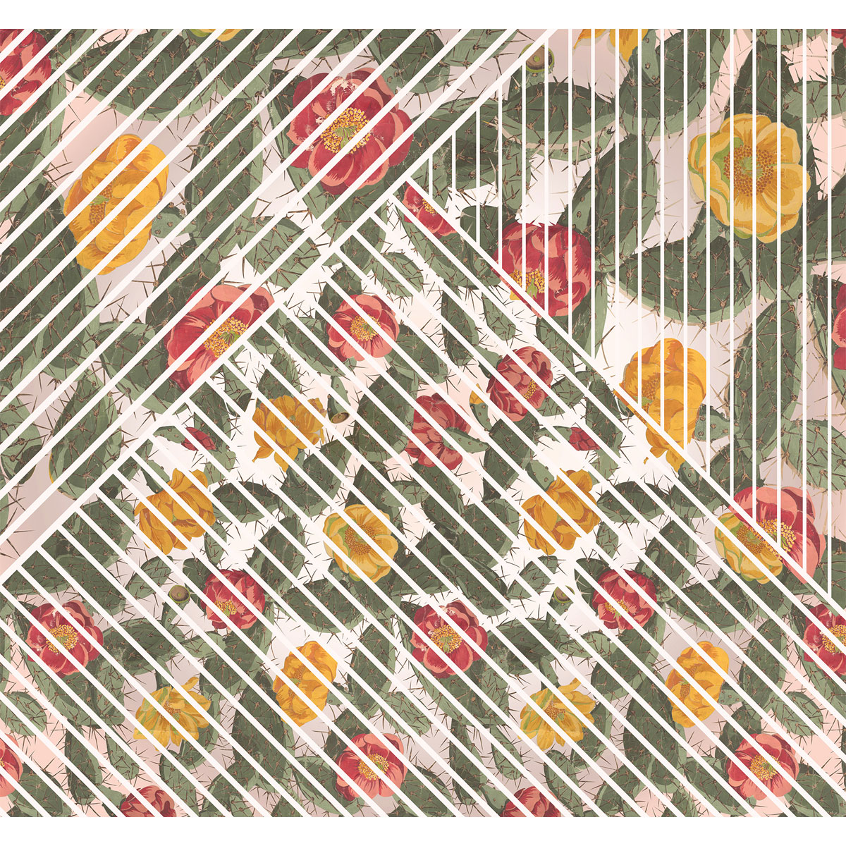 Komar  Vlies Fototapete Cactus 300x280 cm Bild 2